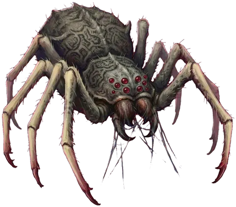 Scourge Spider